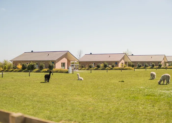 Büdlfarm - Der Familien-Erlebnishof in Strandnähe Fehmarn
